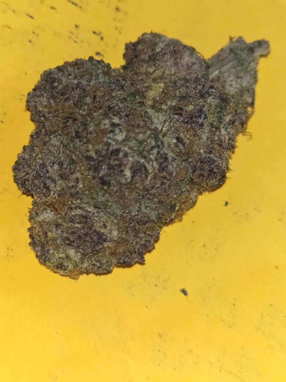 Cherry poppers 🍒-£50 Gushers 🍬-£50Zoapscotti 🧼-45Mochi 🍡-40 Astro Candy 🍬-40 Super runtz 🍭-40Zushi 🍣-35 Biscotti mintz 🍪-35LCG 🍋 🍒 -30